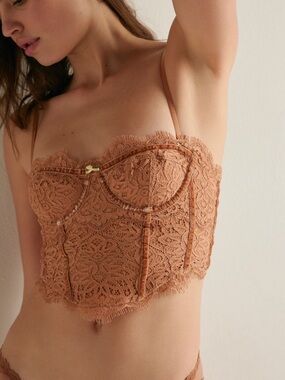 Free People Moonlit Meadow Eyelash Lace Corset Bustier Top